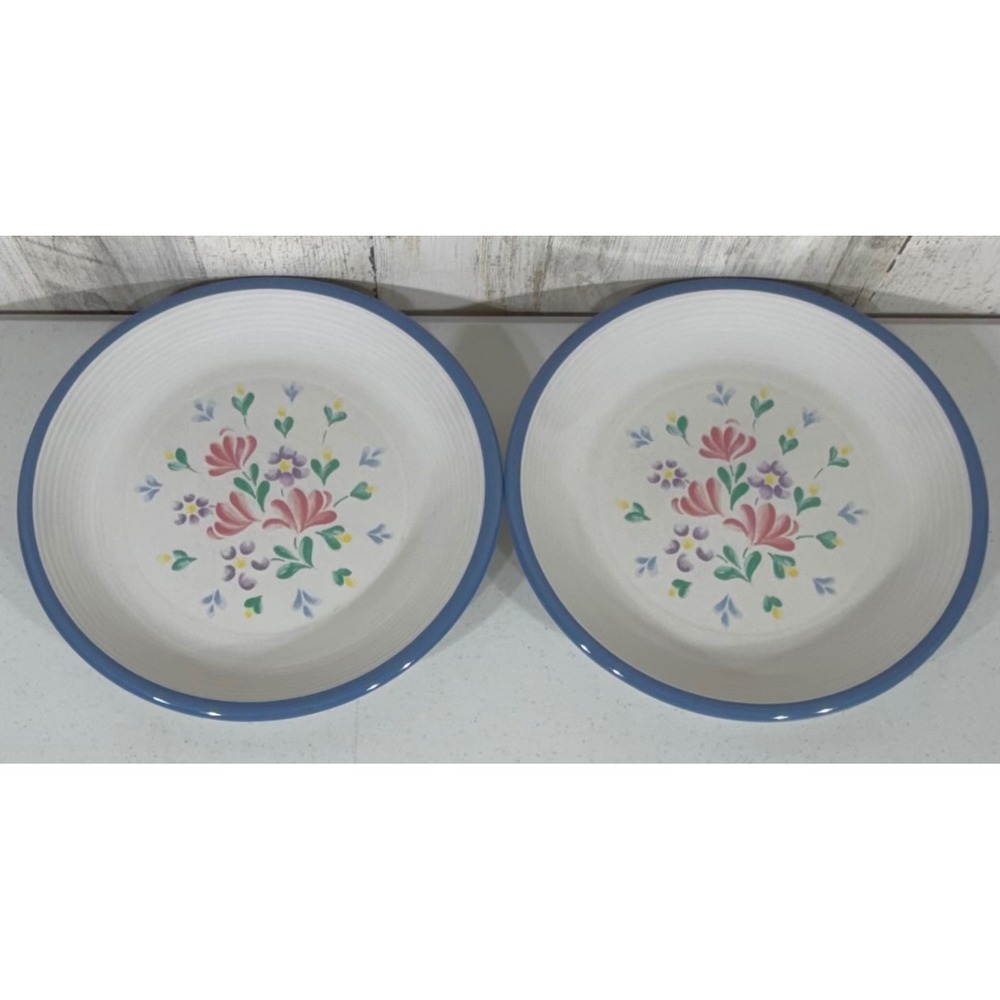 Spectrum Stoneware 11 Inch Dinner Plates White Blue Floral Japan Set of‎ 2